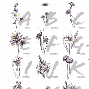 Kunstdruck "flower alphabet" | 40x60cm